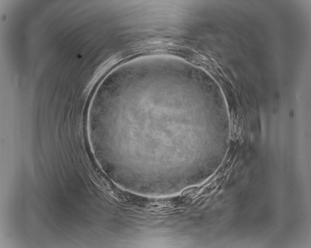 X0000067950099200604131445