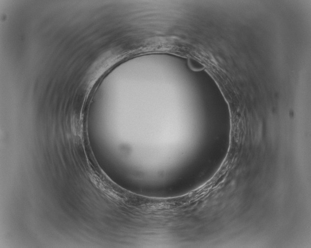 X0000067950100200604131445