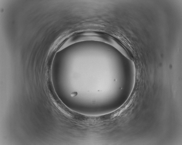 X0000067950101200604131445