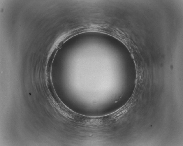 X0000067950102200604131445