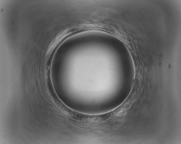 X0000067950103200604131445