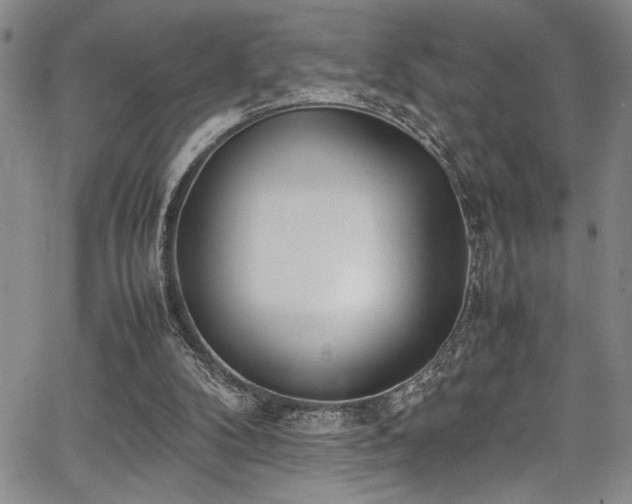 X0000067950104200604131445