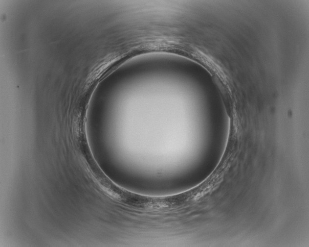 X0000067950105200604131445