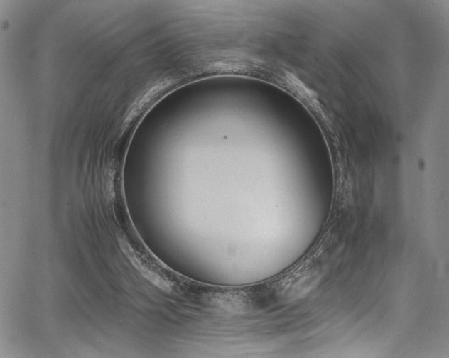 X0000067950106200604131445