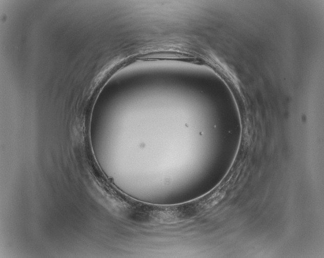 X0000067950107200604131445