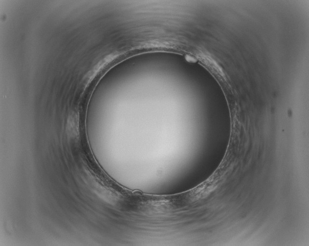 X0000067950108200604131445