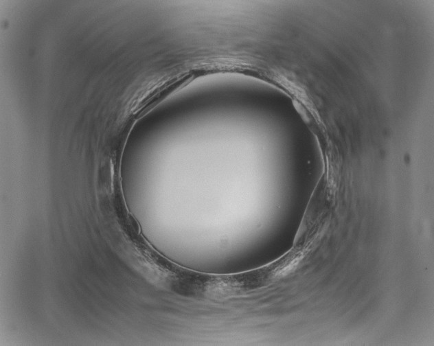 X0000067950109200604131445