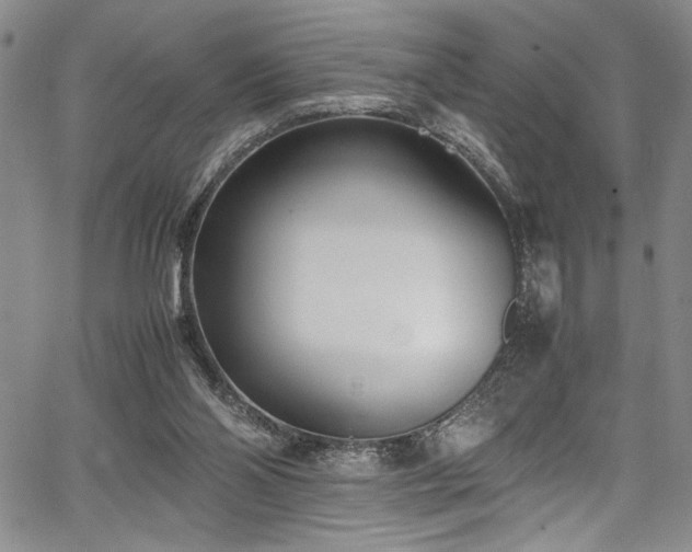 X0000067950110200604131445