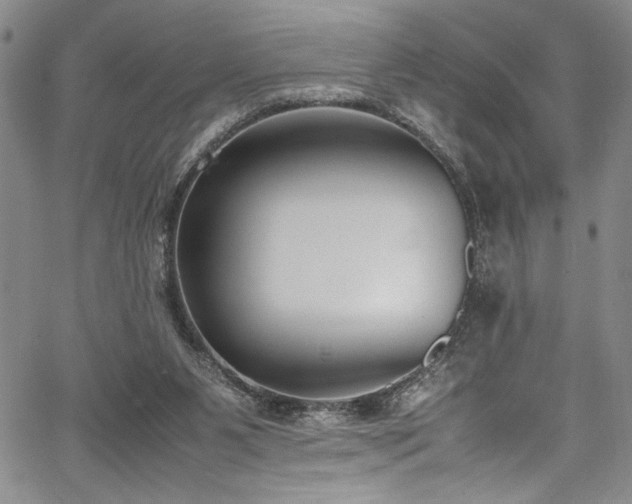 X0000067950111200604131445