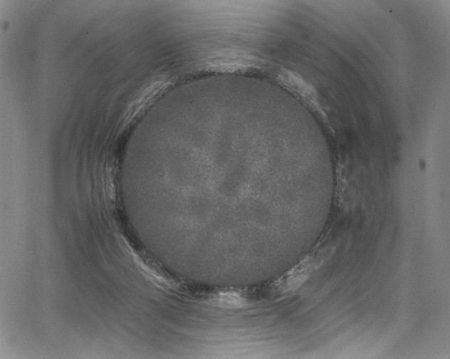 X0000067950114200604131445