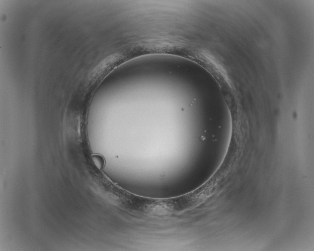 X0000067950115200604131445