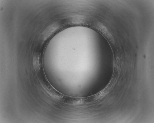 X0000067950116200604131445