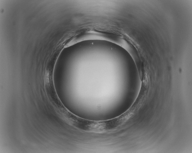 X0000067950117200604131445