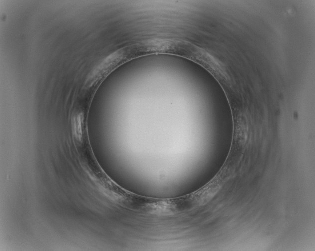 X0000067950118200604131445