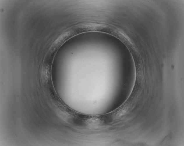 X0000067950119200604131445