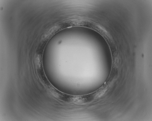 X0000067950121200604131445