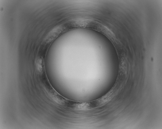 X0000067950122200604131445