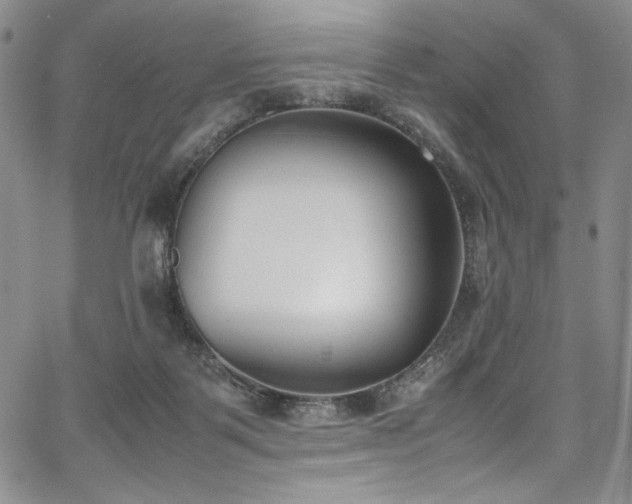 X0000067950123200604131445