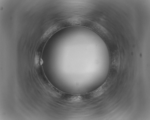 X0000067950124200604131445