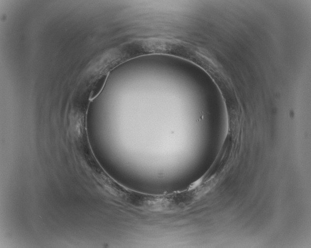 X0000067950125200604131445