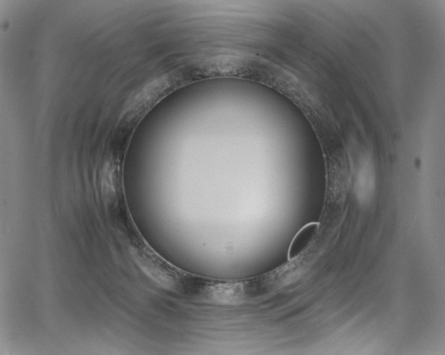 X0000067950126200604131445