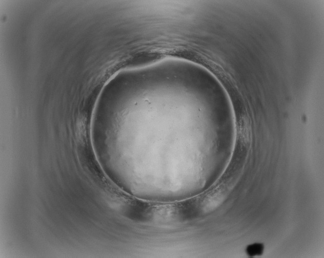 X0000067950127200604131445