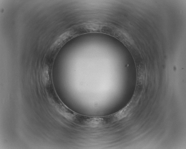 X0000067950128200604131445