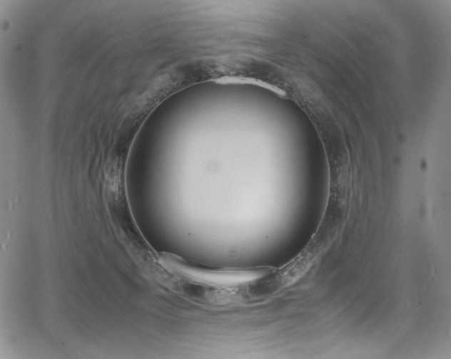 X0000067950129200604131445