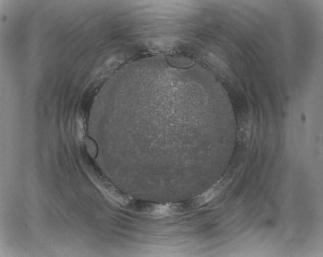 X0000067950130200604131445