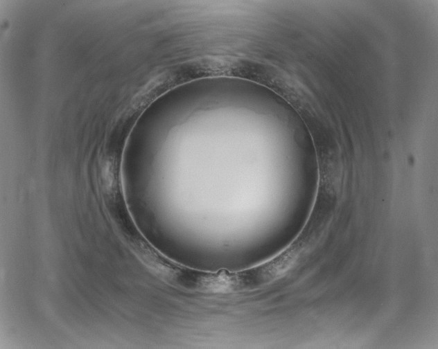 X0000067950131200604131445