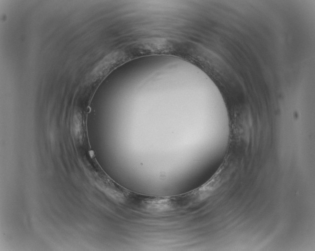 X0000067950132200604131445