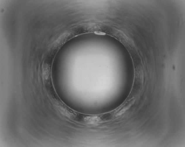 X0000067950133200604131445