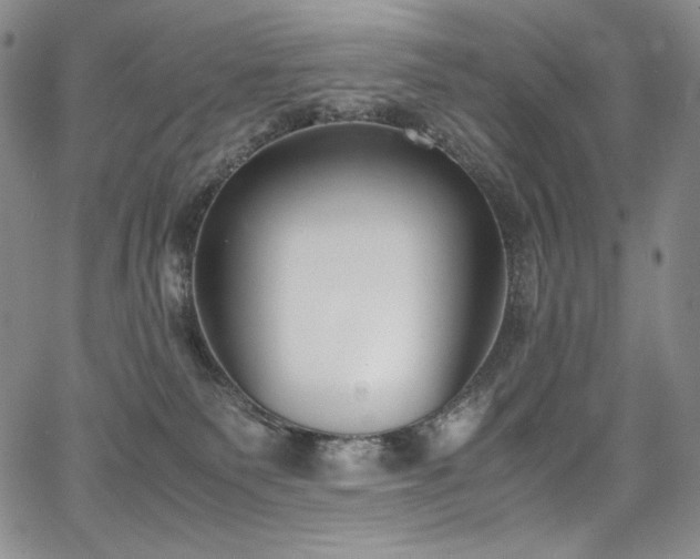 X0000067950135200604131445