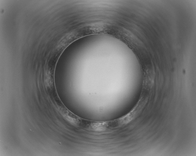 X0000067950136200604131445