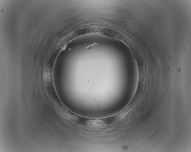 X0000067950137200604131445