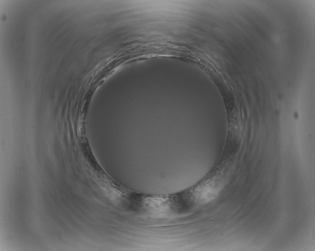 X0000067950139200604131445