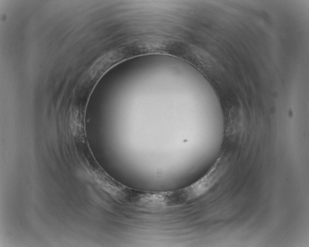 X0000067950140200604131445