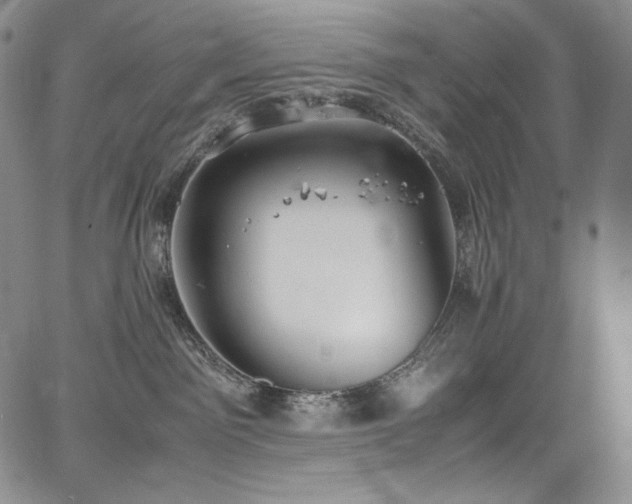 X0000067950141200604131445