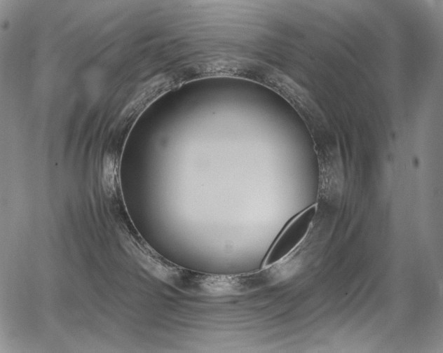 X0000067950142200604131445