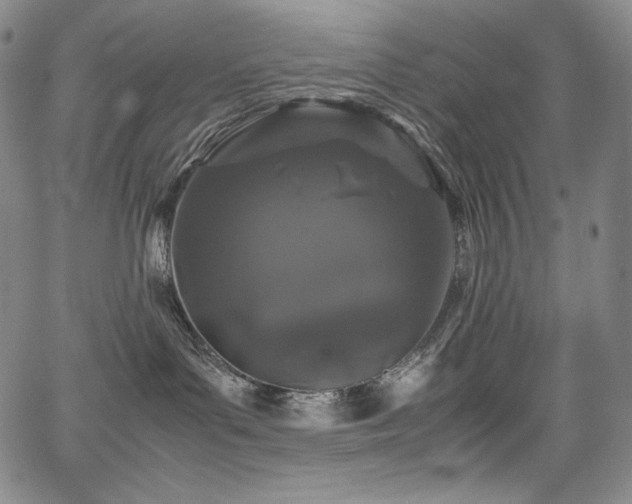 X0000067950143200604131445