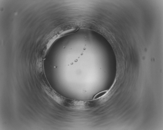 X0000067950144200604131445