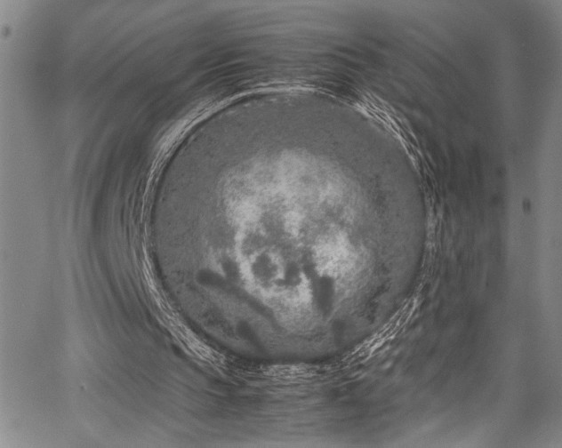 X0000067950145200604131444