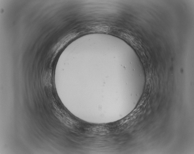 X0000067950146200604131444