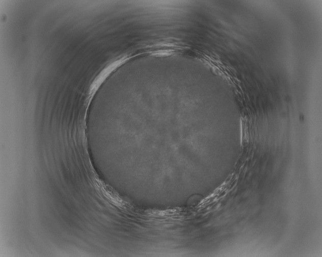 X0000067950147200604131444