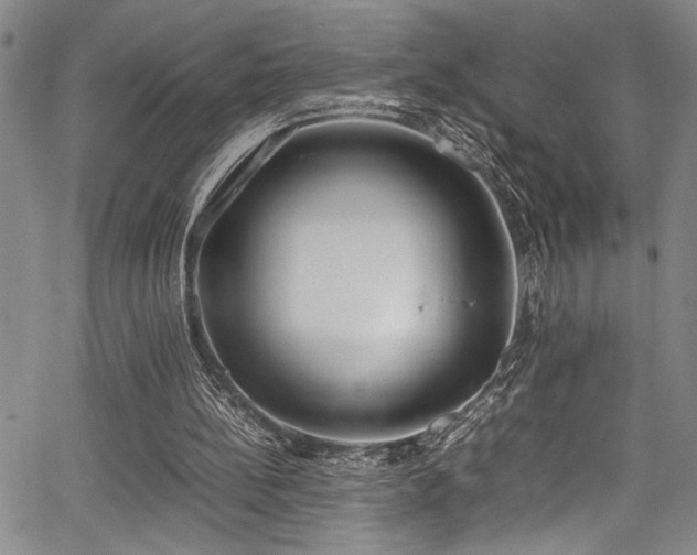 X0000067950148200604131444