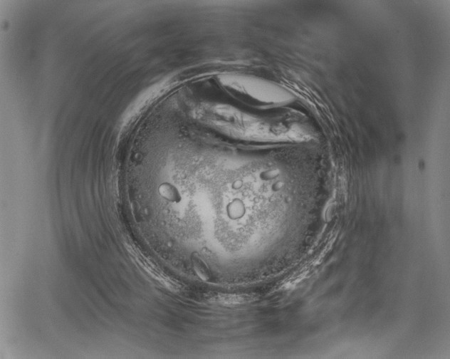 X0000067950149200604131444