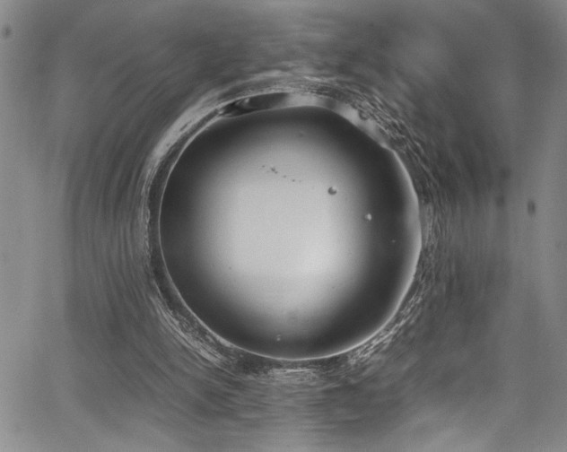 X0000067950150200604131444