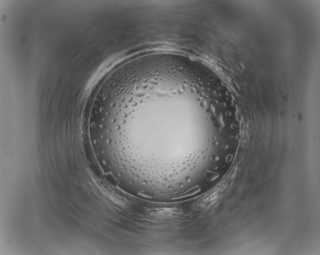 X0000067950151200604131444