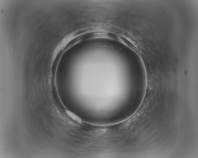 X0000067950152200604131444