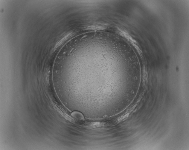 X0000067950153200604131444